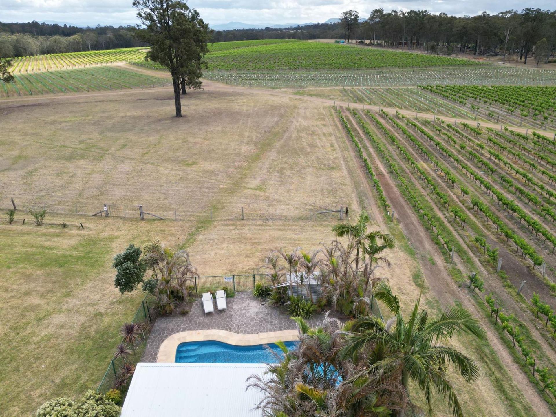 Ironbark Hill Estate Hotel Pokolbin Buitenkant foto